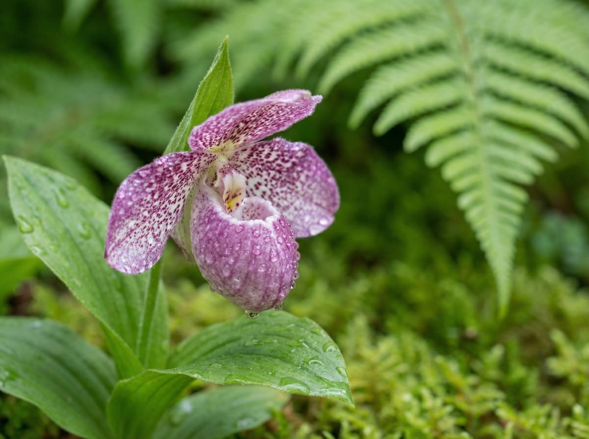 黄色仓库植物短视频