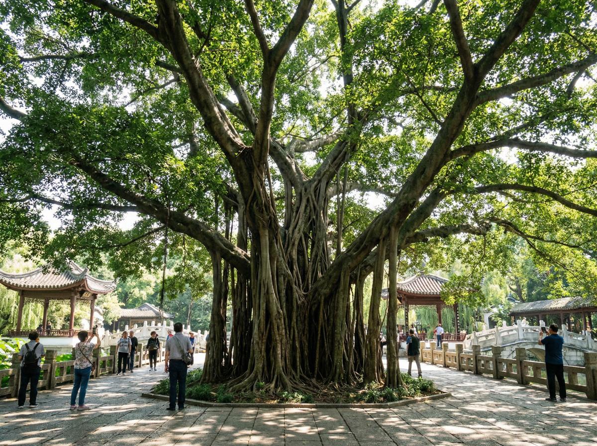 黄色仓库社区顾问王雅琴